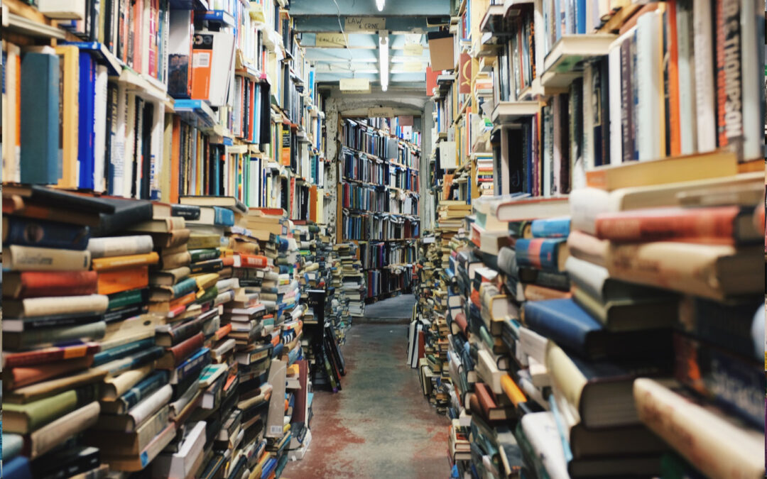 5 Attractive Bookstore WordPress Themes